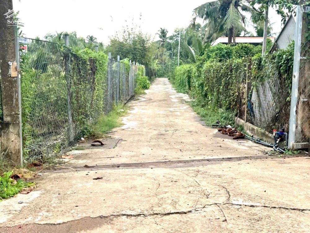 NỀN THỔ CƯ PHÚ TÂN ĐƯỜNG XE 7 CHỖ GẦN ĐƯỜNG 173 MỚI