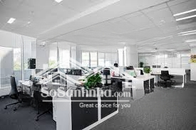 Siêu Hạ Giá!Mặt Tiềnngay Phan Đăng Lưu, Bình Thạnh, 11.8X32M, Cấp 4 Tiện Xây Mới, Giá Chỉ 80.9 Tỷ