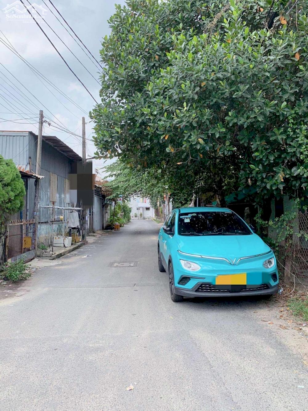 Ảnh 2