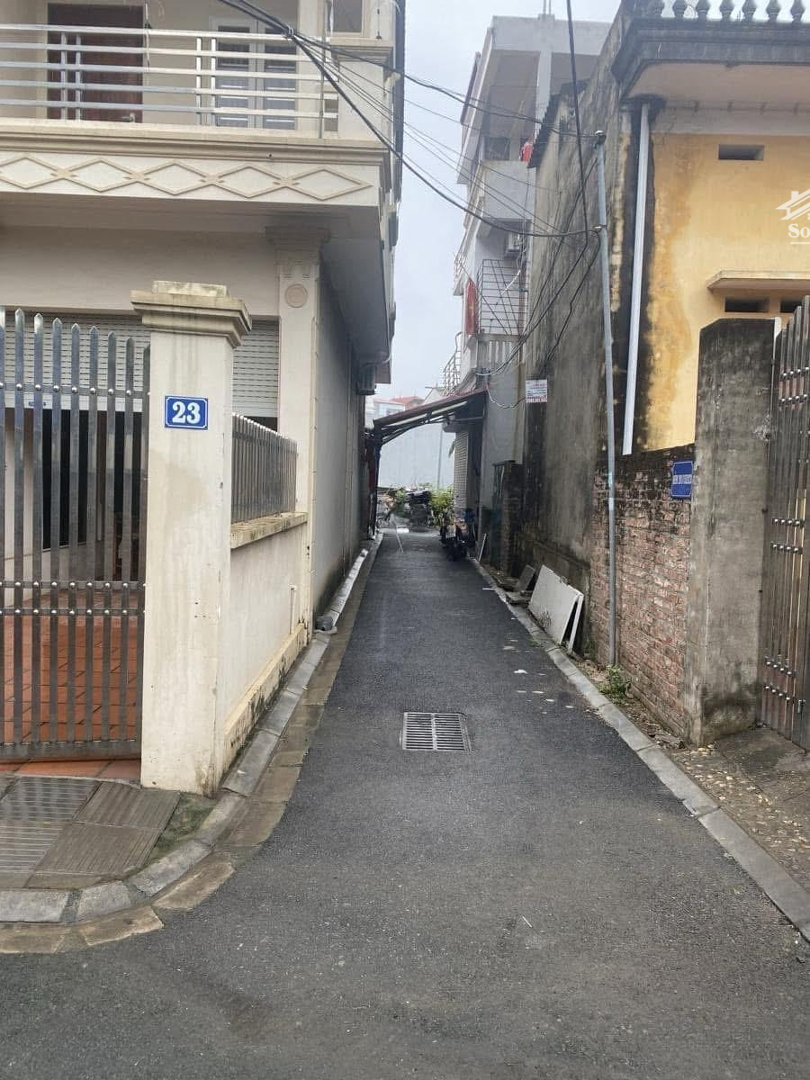 Ảnh 3