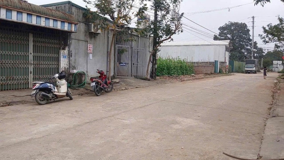 Ảnh 3