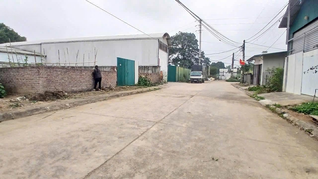 Ảnh 1