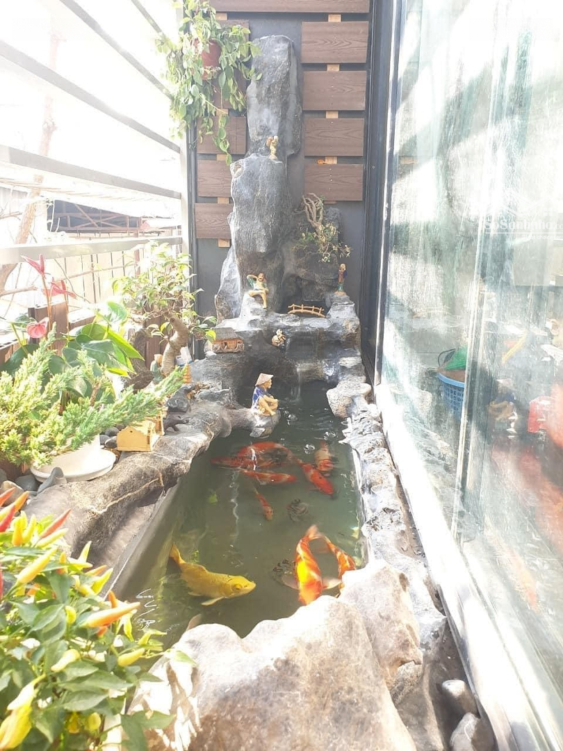 Ảnh 2