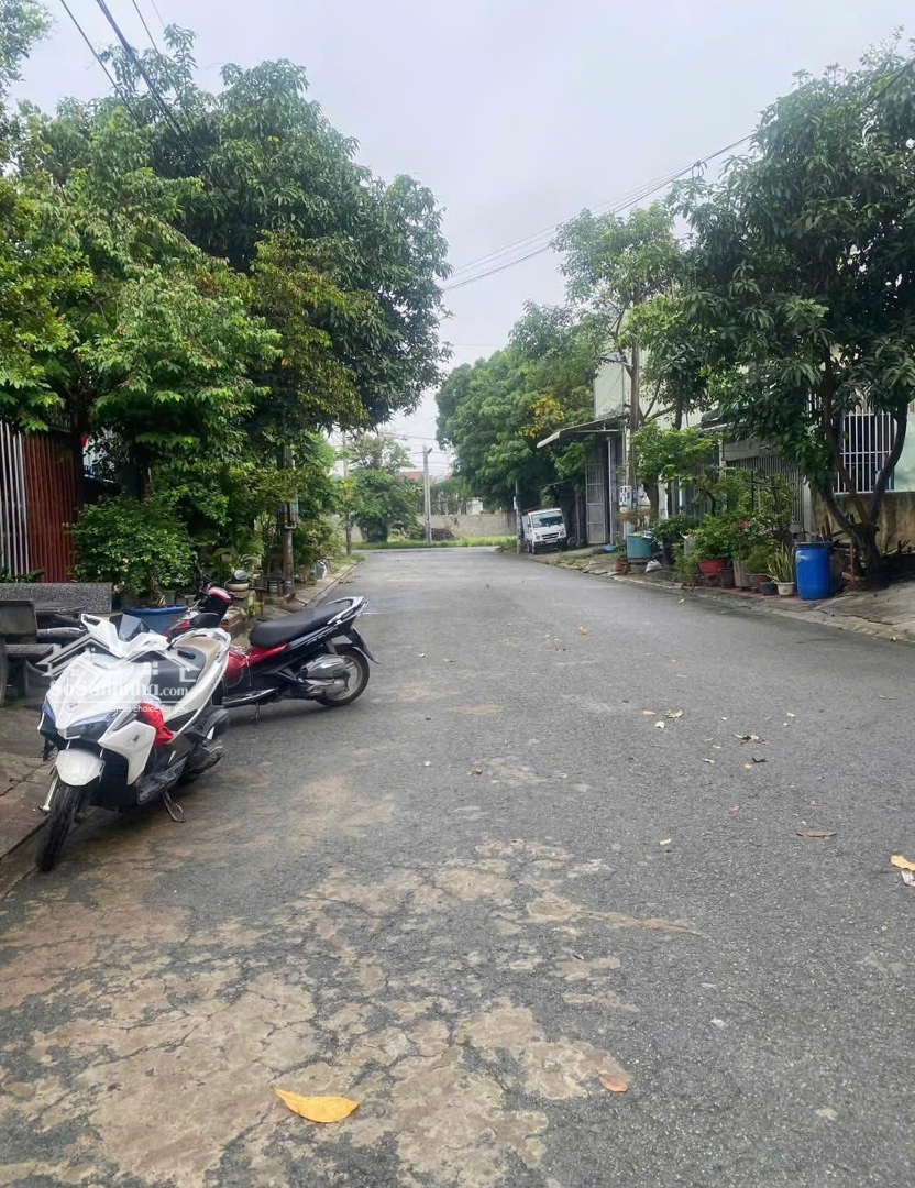Ảnh 2