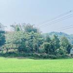 Bán Mảnh Đất Hoa Hậu 6232,6M2 Tại Xã Hợp Phong,Huyện Cao Phong,Hb