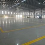 Cần cho thuê 3.200m2 kho chứa hàng có hệ thống PCCC tự động tại Cụm Công Nghiệp Tân Tiến, Văn Giang Hưng Yên, gần cầu Thanh Trì