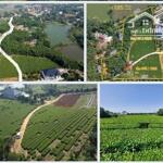Chính chủ bán lô đất xã Tu Vũ, Thanh Thuỷ, Phú Thọ; 0984206886