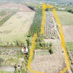 bán 7.738 m2 đất tại huyện krong năng, tỉnh daklak