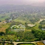 chính chủ bán 1700m2 đất huyện cao phong hòa bình