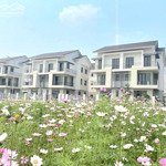 mua villass hàng f0 chủ đầu tư khu đô thị centa riverside2