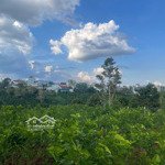 Vườn ngộp 4,700m2 đường Bùi Thị Xuân P1 Tp Bảo Lộc giá 3,7tr/m2