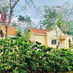 bán đất tặng nhà cổ hùng vương phường 11 đà lạt hợp nghỉ dưỡng, kd khách sạn villa