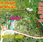 8,8 sào nhà đẹp 3 phòng ngủ giá rẻ tại thành phố Gia Nghĩa tỉnh Đắk Nông