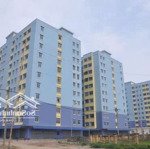 Chính chủ cho thuê căn hộ chung cư Phú Sơn