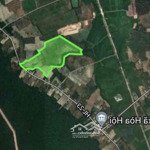 Bán đất nông nghiệp 25 ha Tây Ninh