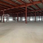 cho thuê nhà xưởng trong kcn việt yên, bắc giang, dt 2000m2-6000m2, pccc tiêu chuẩn mới