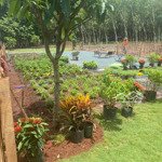 Chính chủ bán mảnh đất ven hồ sổ hồng 500m2 tặng vườn