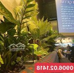 Sang quán Cafe 10x40 mt Vườn Lài-Quận 12, doanh thu 100-140tr/tháng