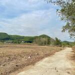 Bán đất vườn Diên Tân quy hoạch full thổ cư sát bên Tỉnh Lộ 2