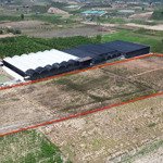 bán lô đất 1,9 hec (19.000m2) tại núi yên ngựa tân thành, cách trung tâm khoảng 2km