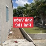 Nhà và 4 hồ nuôi lươn, Rạch Giồng Ổi Nguyễn Văn Quy