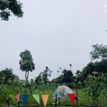 Cần bán lô đất tại Hòa Sơn. Lương Sơn Hòa Bình Diện tích 1500m2. 200 thổ cư Cách ql6 2km.
