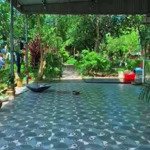 chính chủ cần tiền mảnh đất hơn 5000m2 giá chỉ hơn 3tr/m2 phù hợp làm resort, homestay, camping