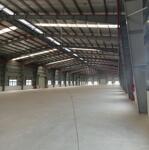 Cho thuê nhà xưởng 8000m2 pccc tự động tại Hải Dương