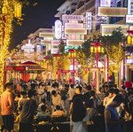 siêu vip phố china town vin ocean park 2 - kinh doanh cực sầm uất - dòng tiền trăm tr/tháng