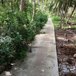 Bán đất vườn dừa khô đan cho trái