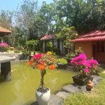 mini farmstay diên xuân - cách tl8: 1km