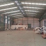 cần bán kho 2500m2 mặt tiền an phú 03 thuận an bình dương 45 tỷ