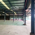 Kho Xưởng (3000m²) Trần Đại Nghĩa, Bình Chánh