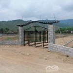 BÁN 4200 M2 ĐẤT TRỒNG CÂY LÂU NĂM SỔ HỒNG TẠI HÒA NINH