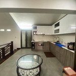 biệt thự siêu vip kđt mới dương nội 250m2 - gara - sân vườn thoáng trước sau