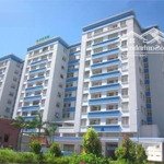 cho thuê căn hộ 68 m2 2pn chung cư an sương giá 6.000.000 đ/tháng, liên hệ 0902317120