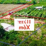  SIÊU PHẨM ĐẤT VƯỜN MẶT TIỀN 47M TẠI LA NGÀ: 1000M² CHỈ 599 TRIỆU 