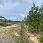 Lô đất 3 hecta đối diện KCN Thắng Hải giá 2ty7/ ha