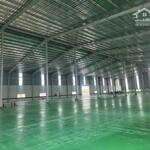 Cho thuê nhà xưởng mới xây dựng trong KCN thuộc tỉnh Tiền Giang.