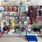 Sang pet shop