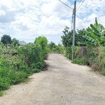 Đất sào mặt tiền bê tông (ngang 21m), sát bên đường nhựa, xã Sông Thao