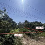 (Phát Mại) 1.055m2 đất mặt tiền đường nhựa Long Tân - Đất Đỏ - BRVT
