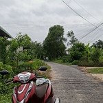 Đất mặt tiền đường nhựa ấp Cây Nính, xã Phước Trạch, Gò Dầu, Tây Ninh