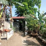 Cho thuê nhà vườn gần ủy ban nhân dân phường thới an dt