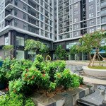 gia đình cần bán 3pn 95m2 đông nam - tây nam chung cư nhà bình minh garden. liên hệ: 0902222582