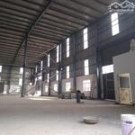 Cho Thuê Kho Xưởng Giá Rẻ Thuận An. 3300M2, 155 Triệu/Th. Pccc Vách Tường