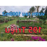 Bán đất rẻ tặng thêm vườn rau