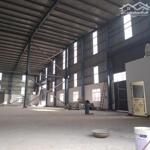 Cho Thuê Kho Mới 13.000M2 (Xd: 7.700M2) Kcn Thuận Đạo, Bến Lức. Có Pccc Tự Động, Trạm 1250Kva.