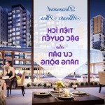 cho thuê căn hộ 2pn diamond alnata plus-88m2/ntcb có bếp,rèm,máy lạnh giá chỉ 15tr/th-celadon city