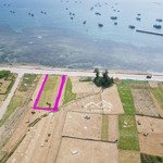 đất lý sơn view biển quy hoạch thổ cư, mặt tiền đường biển ô tô 12m vỉa hè trồng dừa mát mẻ
